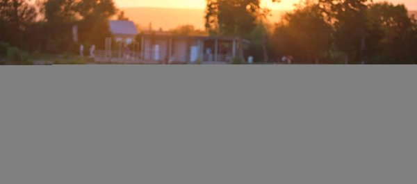 Les jeux vidéo peuvent-ils être un outil efficace contre l'isolement social ?